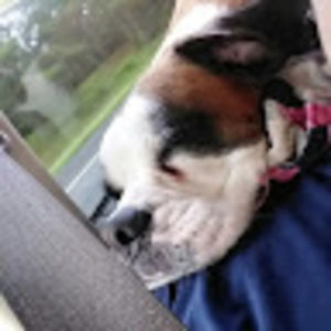 Meet your Posher, Liz